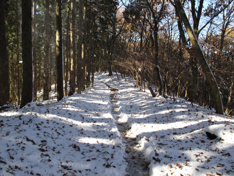 20161125hike (182)